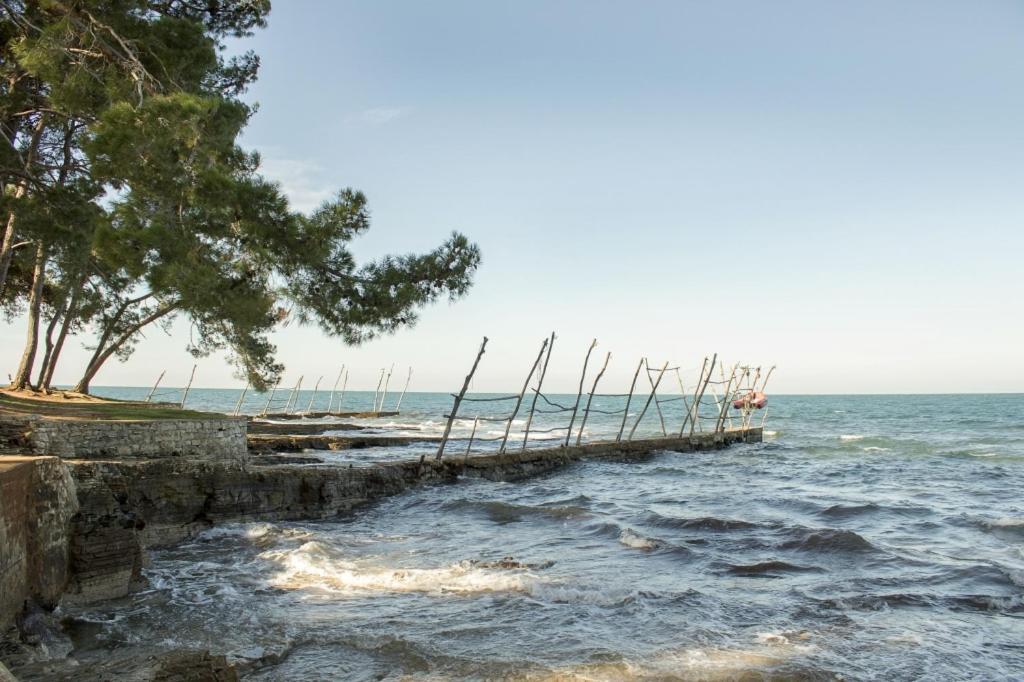 Villa Franka 113 Basanija Bagian luar foto